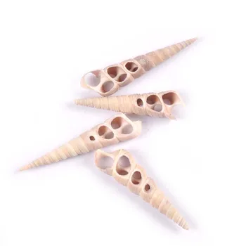 4tk 50-70mm Loomulik Kolmepoolne Conch Õõnes Kestad Tegemise Ehted Seashell DIY Beach Käsitöö Käsitöö Kodu Kaunistamiseks tr0369