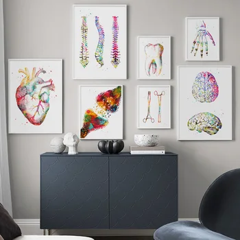akvarell Inimese Anatoomia Lihased Süsteemi Seina Art Plakatid Keha Kaart Seina Pildid on Meditsiiniline Haridus HD Home Decor lõuendile maali